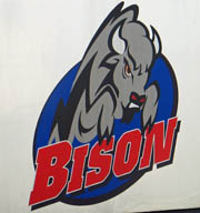 bison Scheuchzer - bison