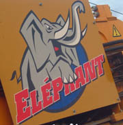 elephant Scheuchzer - éléphant
